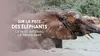 L'orphelinat des éléphants : Le parc national de Nairobi