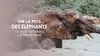 L'orphelinat des éléphants : Le parc national de Nairobi