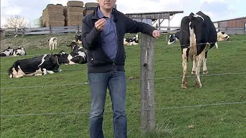 Elevage intensif, attention danger !