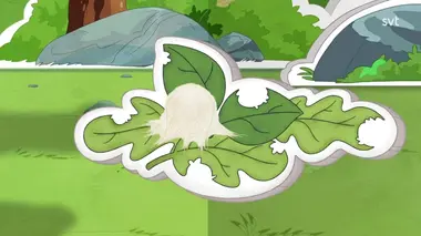 Le vent et la toile d'araignée / La plante qui pique