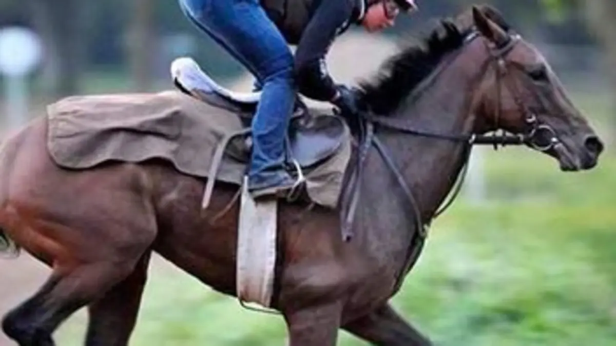 Elles craquent pour des cracks