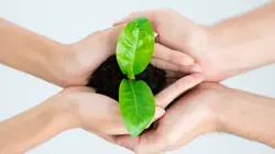 Elles plantent, plantons !