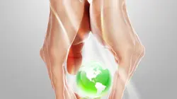 Elles plantent, plantons !