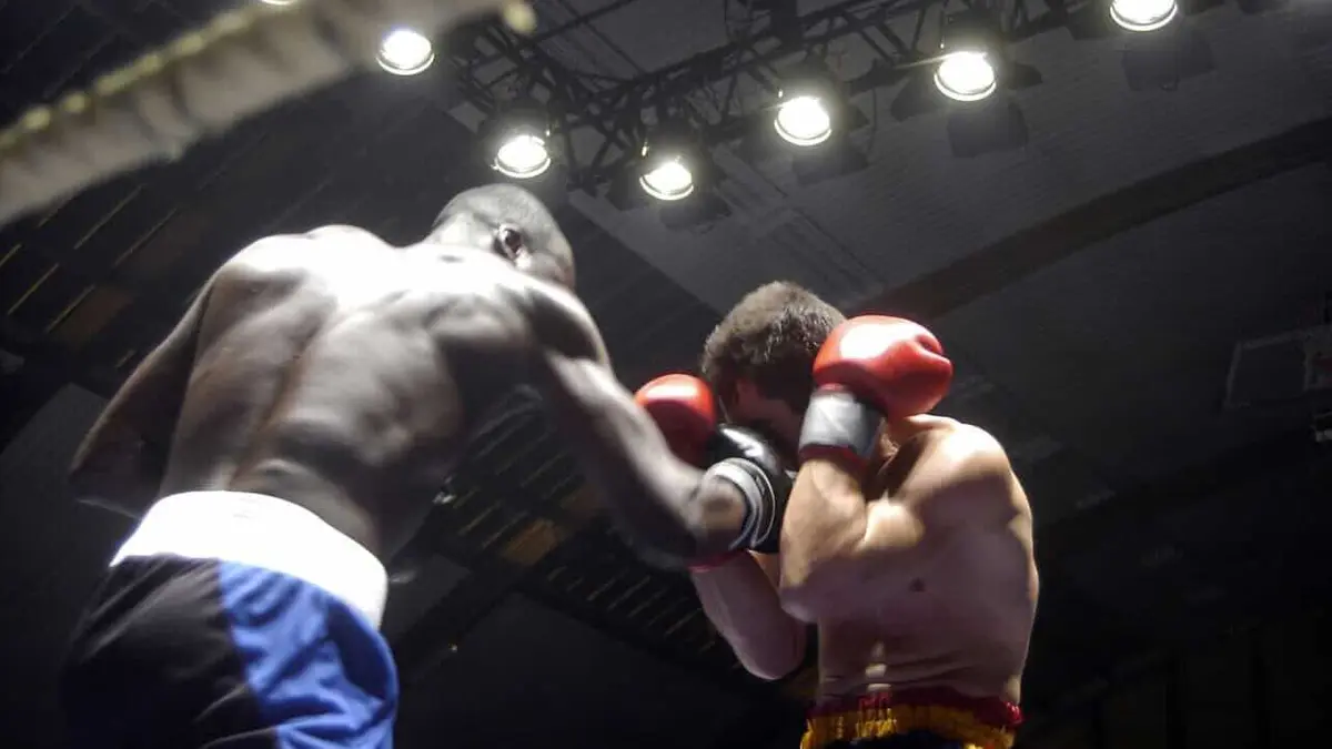 Ellis Zorro / Luca D'Ortenzi Boxe Championnat d'Europe WBO 2023