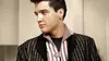 Elvis Presley : The Searcher