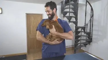 Embarrassing Pets