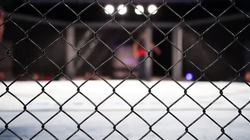 Emission spéciale UFC UFC 329