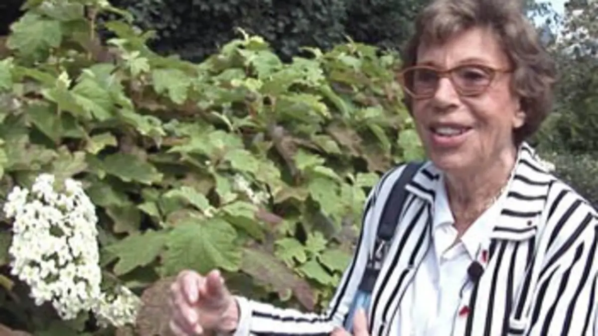 Benoîte Groult, le temps d'apprendre à vivre Benoîte Groult, le temps d'apprendre à vivre