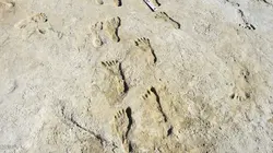 Empreintes des White Sands : Sur les traces des premiers Américains