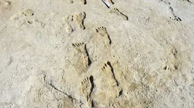 Empreintes des White Sands : Sur les traces des premiers Américains