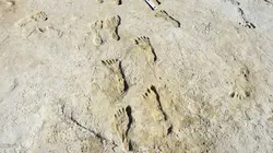 Empreintes des White Sands : Sur les traces des premiers Américains