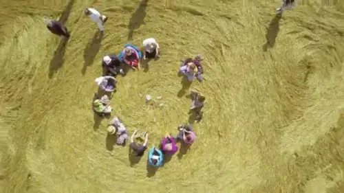 Empreintes vues du ciel E01 Le mystère des crop circles