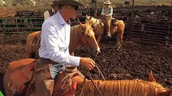 Visuel de En cavale dans le Wyoming