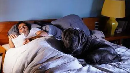 En coulisses Ciné+ Mon Chien Stupide