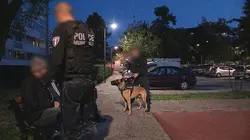 En flagrant délit Immersion dans les forces de sécurité de Reims