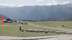 En Géorgie, des hommes et des chevaux