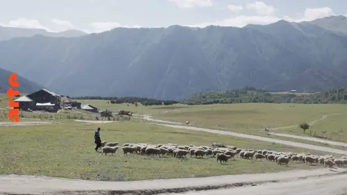 En Géorgie, des hommes et des chevaux