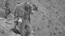 En guerre(s) pour l'Algérie