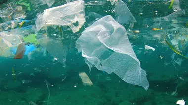 PFAS, un poison dans l'eau