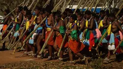 En immersion avec Michael Ware Le dernier roi d'Afrique