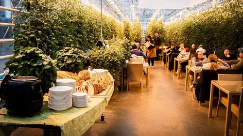 En Islande, le boom de légumes