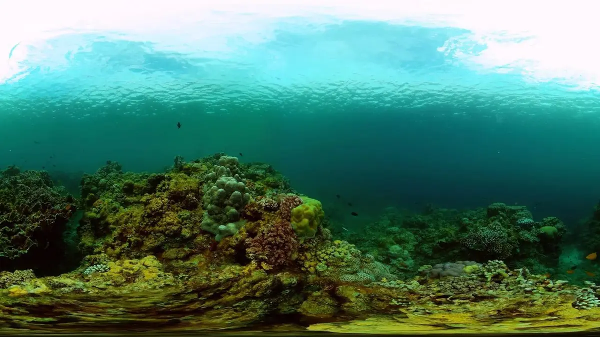 En mission scientifique dans l'Atlantique