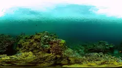 En mission scientifique dans l'Atlantique