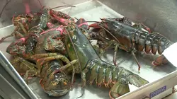 En quête d'actualité