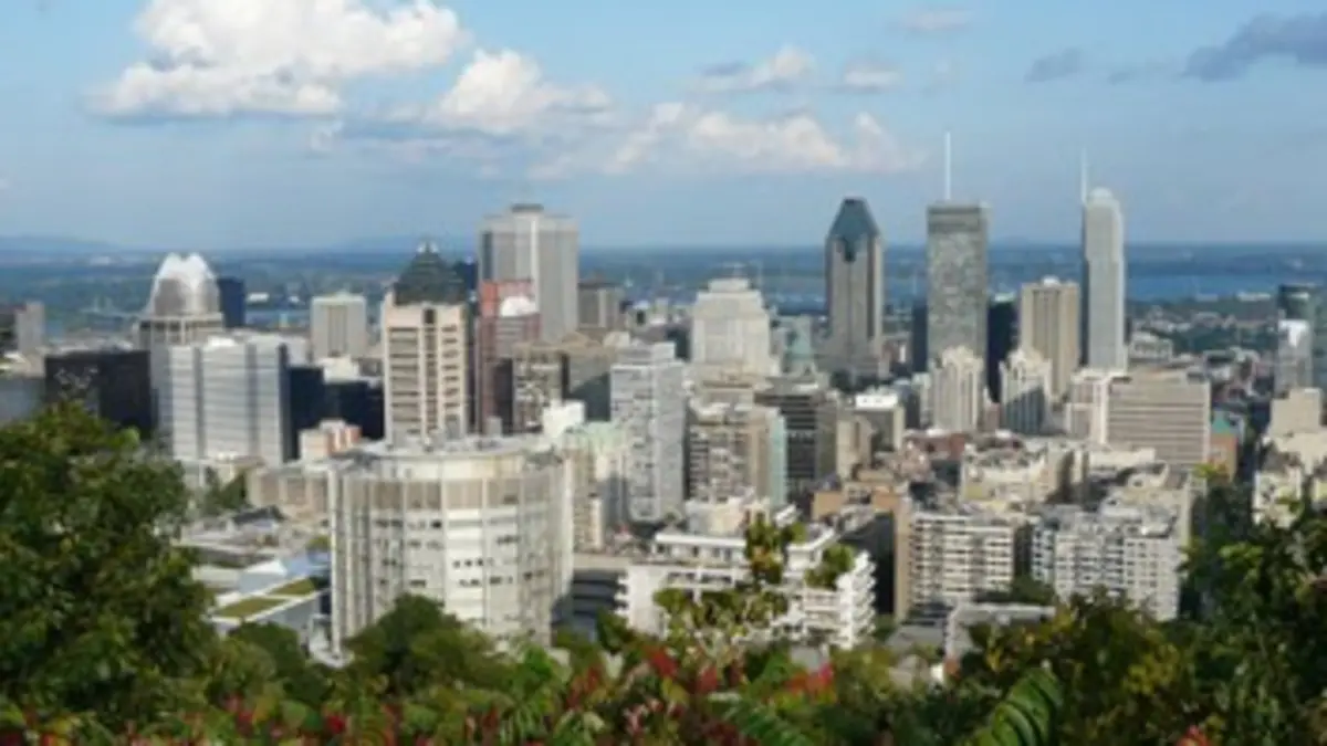 En quête d'identité(s)