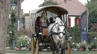 Le cocher / Le meneur