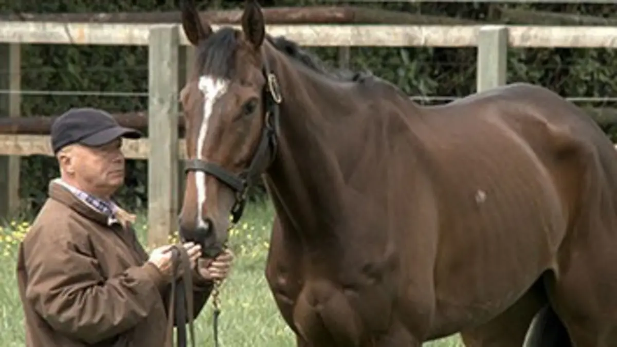 En quête de métiers L'éleveur