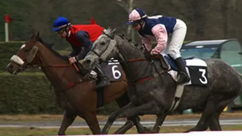 En quête de métiers Le jockey