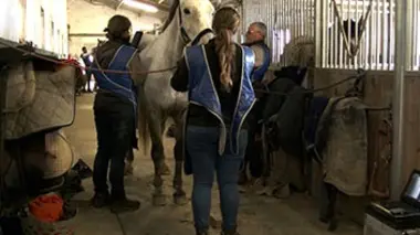 L'auxiliaire vétérinaire