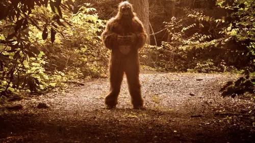 En quête de preuves Peintures rupestres insolites et cri mystérieux