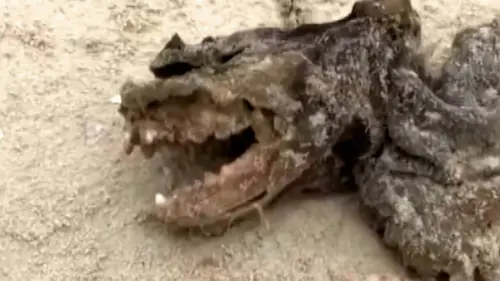 En quête de preuves Bienvenue à Monkey Island