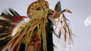 Terre-Neuve, l'aigle et la rivière