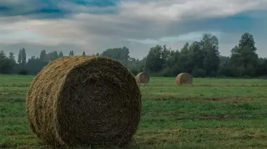 En route avec la police locale