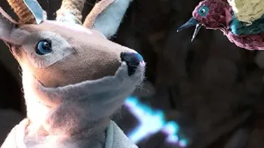 Les oiseaux du souci (2013)