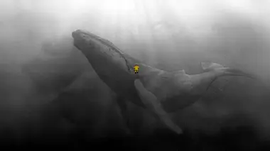 Paul Eluard: Homme utile