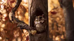 En sortant de l'école  S06E08 Jean Tardieu : Nature