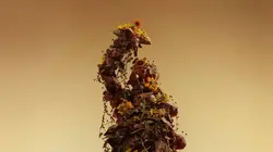 En sortant de l'école  S09E10 Soleil dérisoire, de Anne Hébert