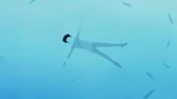 En sortant de l'école S09E05 Liberté : Pour la liberté