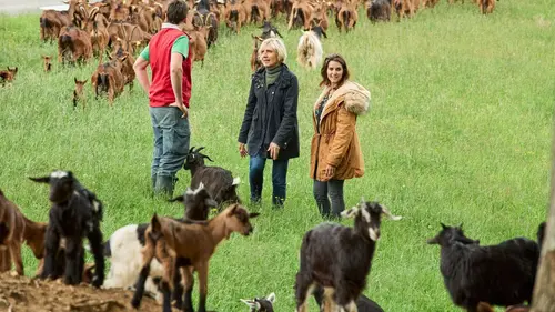 En Terre ferme S03E06 Evelyne Dhéliat