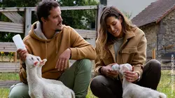 Visuel de En Terre ferme
