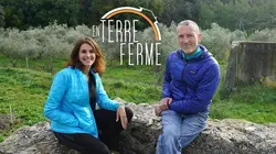 En Terre ferme Emmanuel Faber