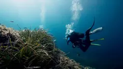 En territoire inconnu La terre des dieux d'Égypte