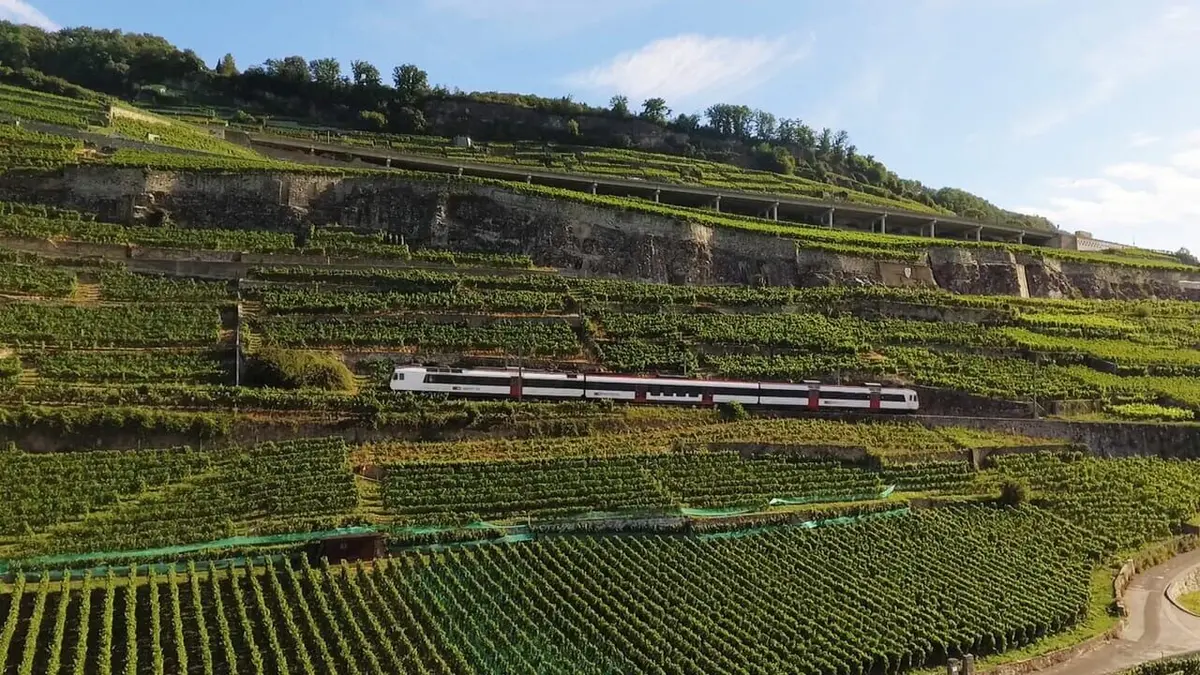 En train à travers la Suisse Du Pays des Trois-Lacs à Genève, en passant par le Lavaux