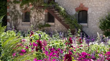 Découverte de la flore sur la Loire