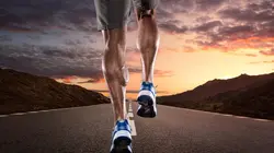 Endurance : avant-course