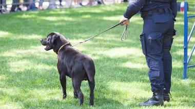 Affaire Jouda Zammit : Footing mortel